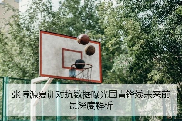 张博源夏训对抗数据曝光国青锋线未来前景深度解析
