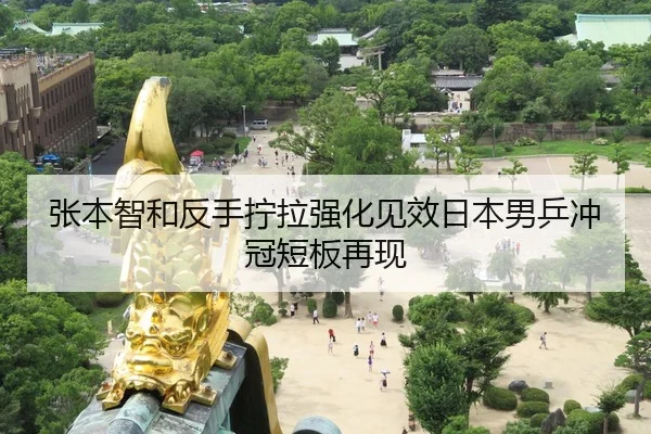 张本智和反手拧拉强化见效日本男乒冲冠短板再现
