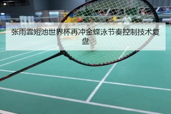 张雨霏短池世界杯再冲金蝶泳节奏控制技术复盘